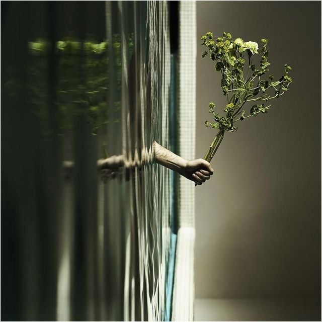 Daily picdump (122 pics)