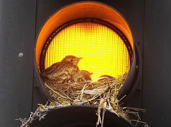 Daily picdump (122 pics)