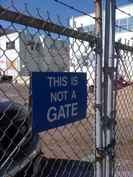 Daily picdump (122 pics)