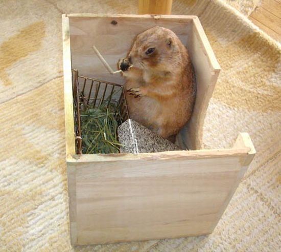 Daily picdump (108 pics)