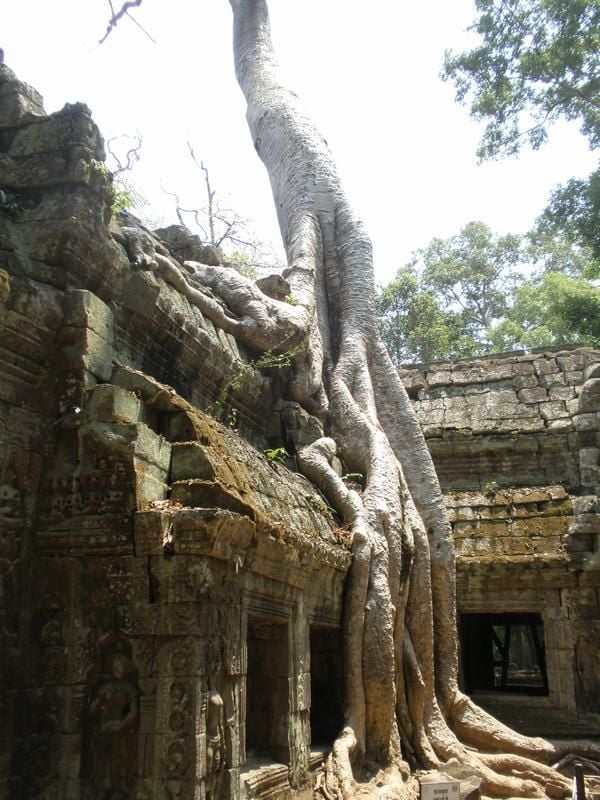 Daily picdump (108 pics)