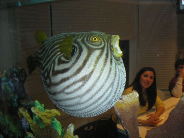 Daily picdump (108 pics)