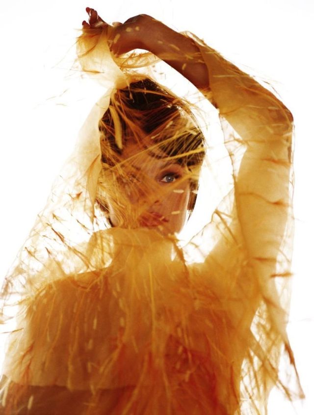 Curiosities and bonus pictures