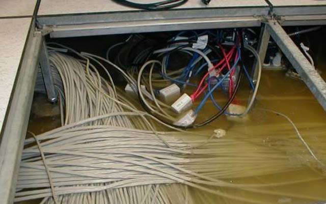 Curiosities and bonus pictures