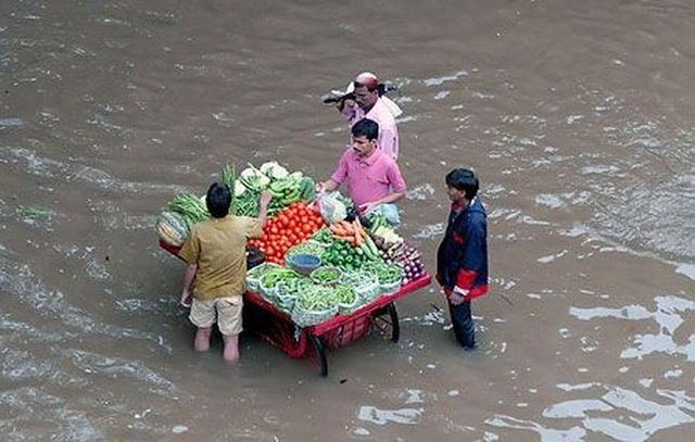 Daily picdump (132 pics)