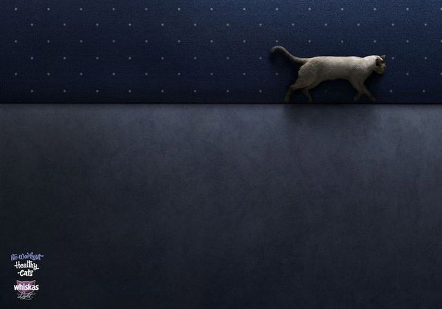 Daily picdump (132 pics)