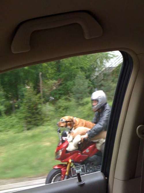 Daily picdump (132 pics)