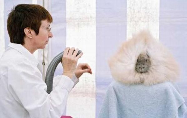 Daily picdump (132 pics)