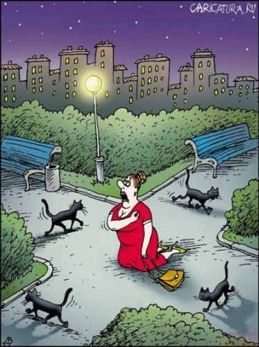 Daily picdump (132 pics)