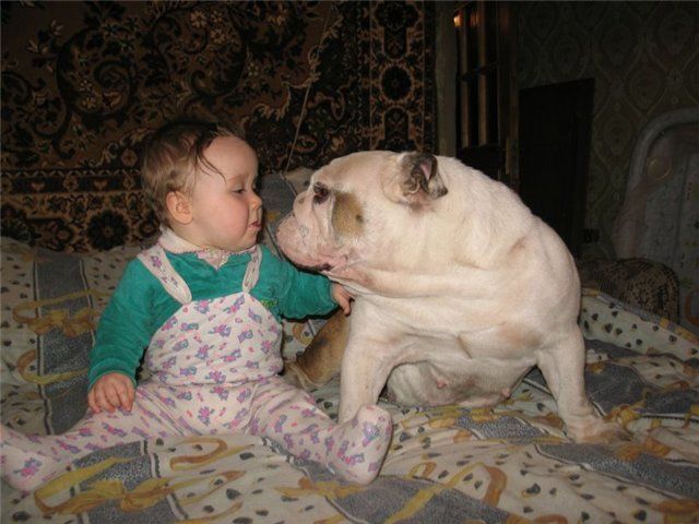 Daily picdump (132 pics)