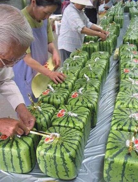 Only in Japan (50 pics)