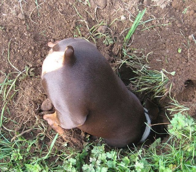 Daily picdump (127 pics)