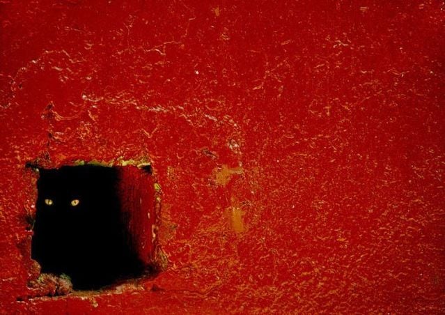 Daily picdump (127 pics)