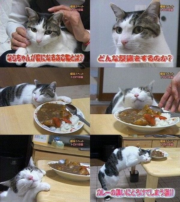 Daily picdump (127 pics)