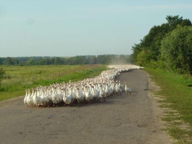 Daily picdump (127 pics)