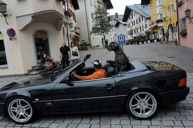 Daily picdump (127 pics)