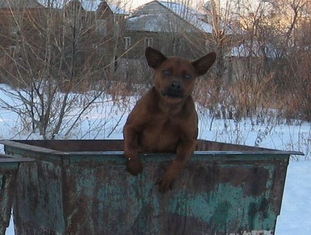 Daily picdump (138 pics)