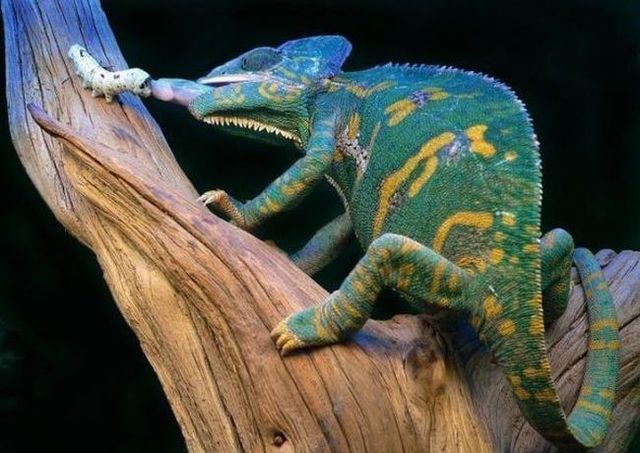 Daily picdump (138 pics)