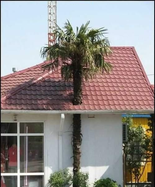 Daily picdump (103 pics)