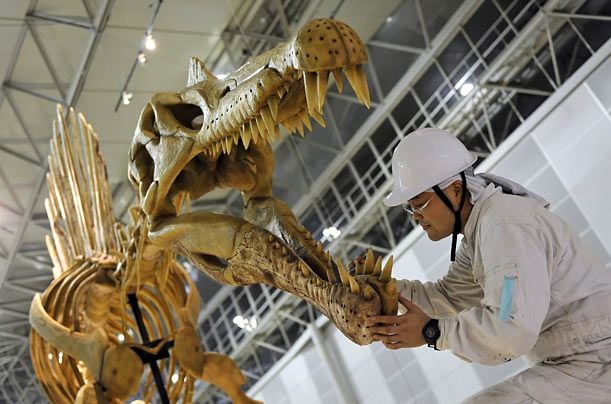 Daily picdump (103 pics)