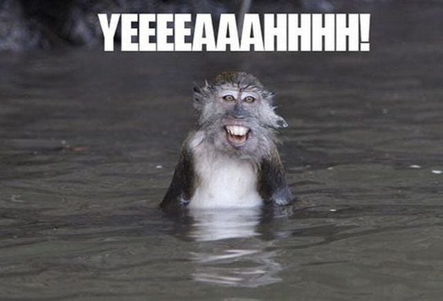 Daily picdump (103 pics)