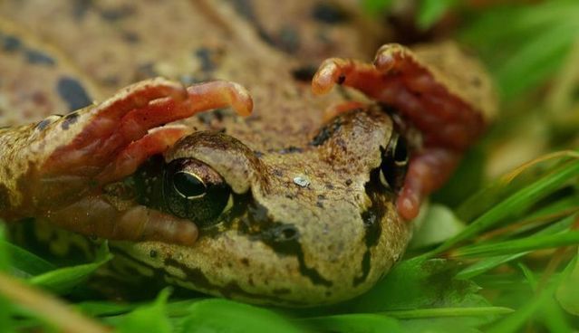 Daily picdump (103 pics)