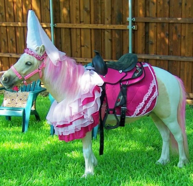 Daily picdump (102 pics)