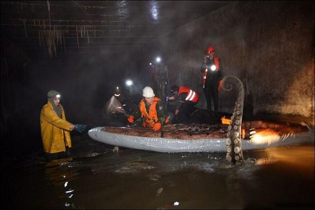 Daily picdump (102 pics)