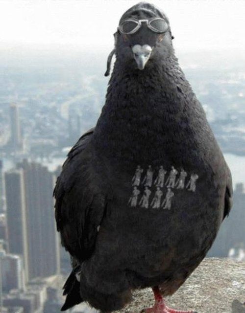 Daily picdump (127 pics)