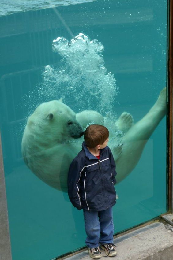 Daily picdump (127 pics)