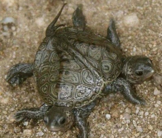 Daily picdump (138 pics)