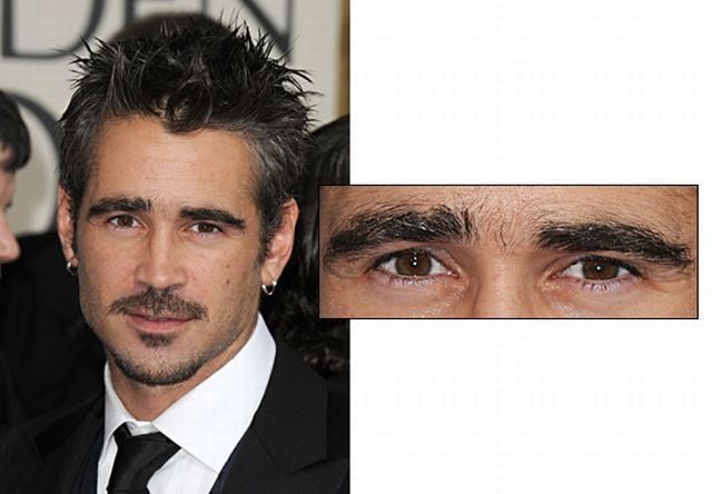 Hairy celebrities (15 pics)