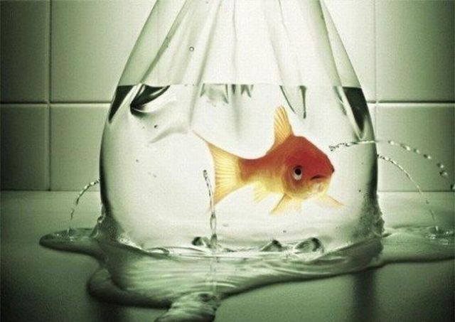 Shit happens. Part 2 (65 pics)