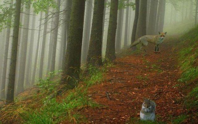 Shit happens. Part 2 (65 pics)