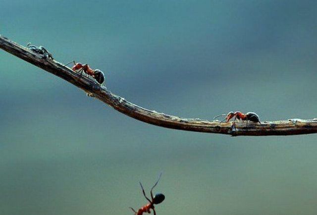 Shit happens. Part 2 (65 pics)