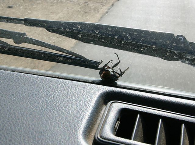 Shit happens. Part 2 (65 pics)