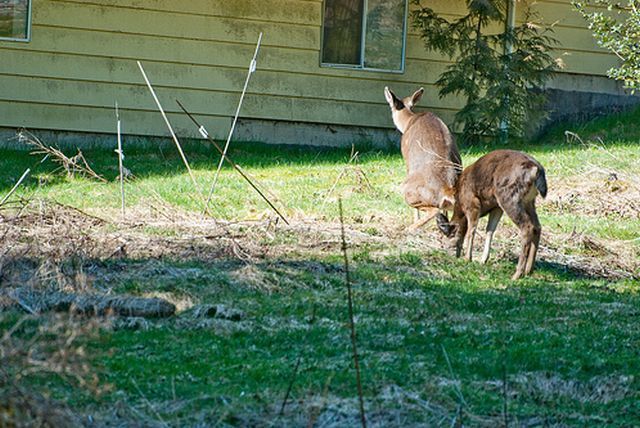 Shit happens. Part 2 (65 pics)