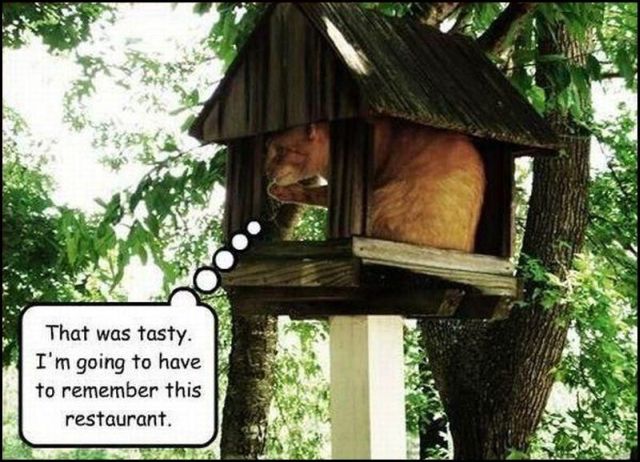 Daily picdump (107 pics)