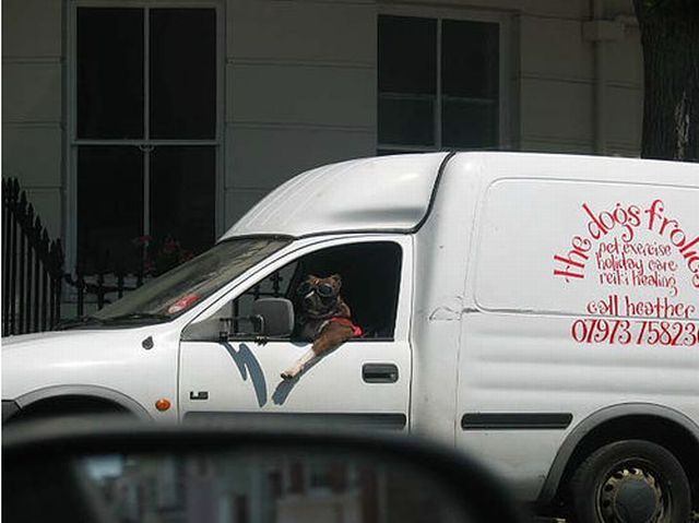 Daily picdump (107 pics)