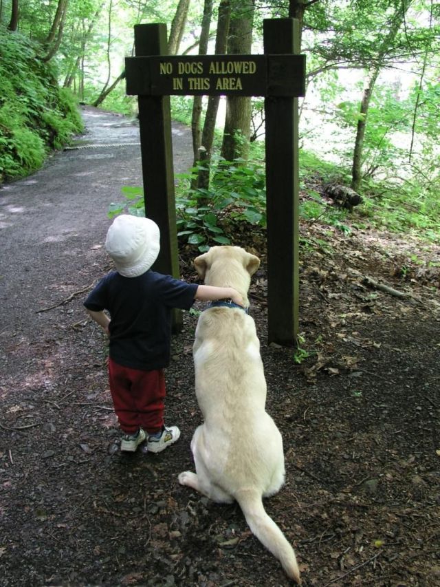 Daily picdump (107 pics)