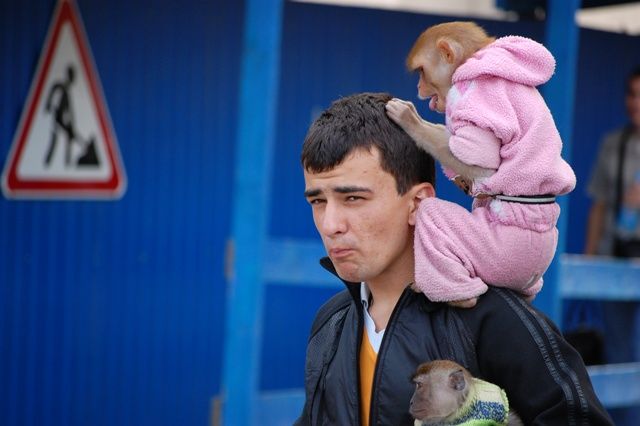 Daily picdump (107 pics)