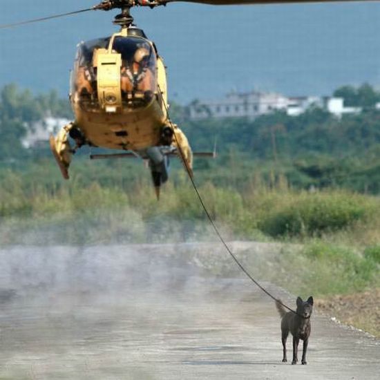 Daily picdump (107 pics)