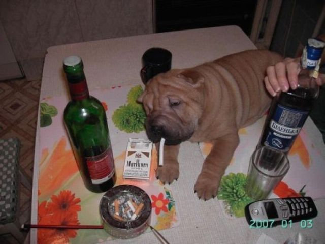 Daily picdump (107 pics)