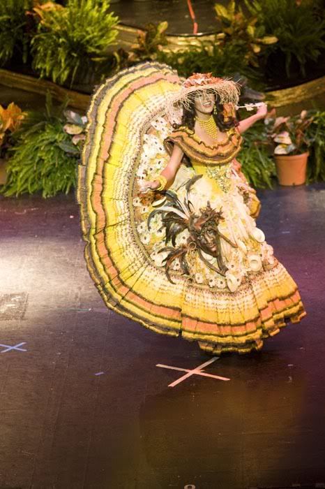 National costumes at Miss Universe 2009 (50 pics)