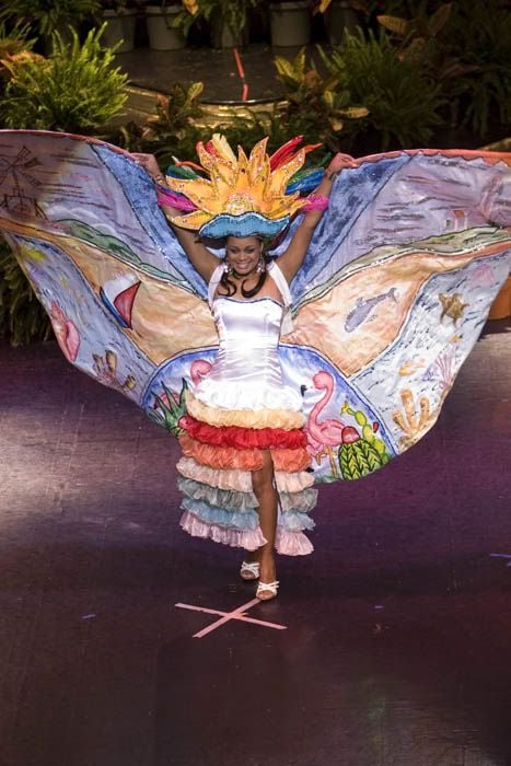 National costumes at Miss Universe 2009 (50 pics)