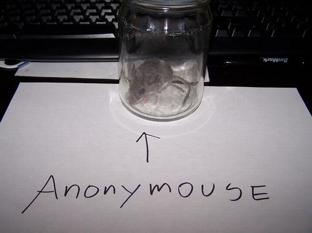 Daily picdump (153 pics)