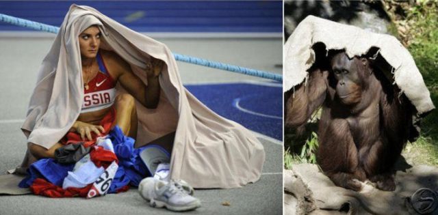 Daily picdump (153 pics)