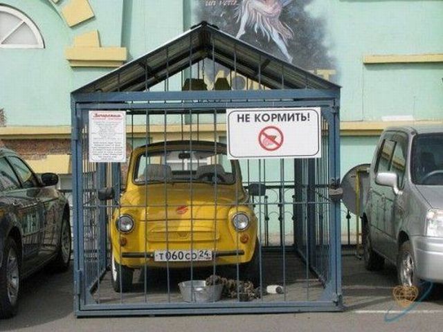 Daily picdump (153 pics)