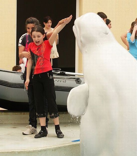 Daily picdump (153 pics)