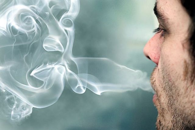 Daily picdump (153 pics)